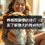 养德国猎梗的技巧（全面了解猎犬的特点和饲养要点，让你成为优秀的猎梗主人）