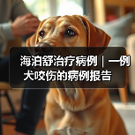 海泊舒治疗病例 | 一例犬咬伤的病例报告(图4) 海泊舒治疗病例 | 一例犬咬伤的病例报告(图4)