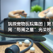 瑞辰之星评选彰显企业文化与员工榜样力量