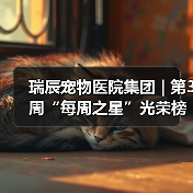 瑞辰宠物医院集团 | 第3周“每周之星”光荣榜(图2) 瑞辰宠物医院集团 | 第3周“每周之星”光荣榜(图2)