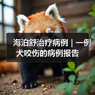 海泊舒治疗病例 | 一例犬咬伤的病例报告(图3) 海泊舒治疗病例 | 一例犬咬伤的病例报告(图3)