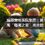瑞辰宠物医院集团 | 第3周“每周之星”光荣榜(图4) 瑞辰宠物医院集团 | 第3周“每周之星”光荣榜(图4)