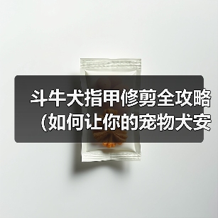 斗牛犬指甲修剪注意事项与正确方法详解