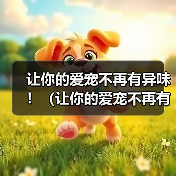 博美犬耳朵异味去除方法 养护技巧指南