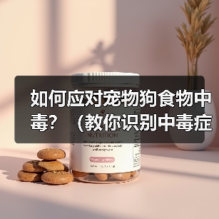 宠物狗食物中毒怎么处理及预防指南