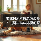 猫咪只尿不拉屎怎么办？（解决猫咪排便问题的有效方法）