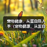德国牧羊犬蛋白质缺乏症诊治与营养调整指南