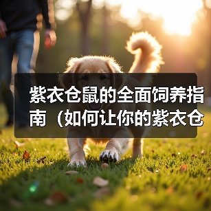 紫衣仓鼠的全面饲养指南（如何让你的紫衣仓鼠健康快乐成长？）