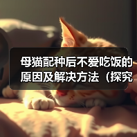 母猫配种后不爱吃饭的原因及解决方法（探究母猫配种后食欲减退的可能原因，并提供有效的解决方案）