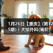 宠物外科高阶实操班 SUB技术深度解析