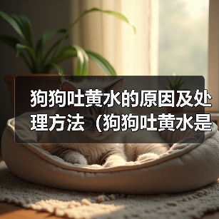 狗狗吐黄水原因与处理方法