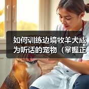 边境牧羊犬训练技巧：科学引导成为听话宠物