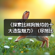 《探索比熊狗独特的十大造型魅力》(尽揽比熊萌态,一览十款独具特色的造型艺术品)(图2) 《探索比熊狗独特的十大造型魅力》(尽揽比熊萌态,一览十款独具特色的造型艺术品)(图2)