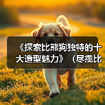 《探索比熊狗独特的十大造型魅力》(尽揽比熊萌态,一览十款独具特色的造型艺术品)(图4) 《探索比熊狗独特的十大造型魅力》(尽揽比熊萌态,一览十款独具特色的造型艺术品)(图4)
