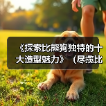 比熊狗十大造型魅力解析，展现可爱与独特风采