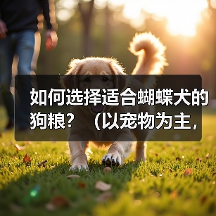 蝴蝶犬狗粮选择指南：营养需求与健康喂养要点