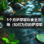 5个月萨摩耶科学喂养指南