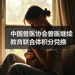 兽医积分兑换活动，纪念品大全及兑换指南