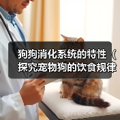 狗狗消化系统特点及科学喂养要点