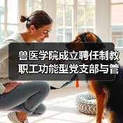 党建引领高校教职工队伍治理机制创新