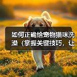 如何正确给宠物猫咪洗澡（掌握关键技巧，让猫咪洗澡不再难）