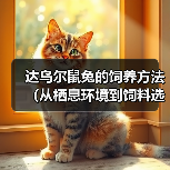 达乌尔鼠兔的饲养方法（从栖息环境到饲料选择，做好这些就可以养活可爱的达乌尔鼠兔！）（图4）
