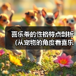 喜乐蒂性格全解析：为何成为家庭理想宠物？