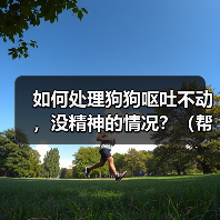 如何处理狗狗呕吐不动，没精神的情况？（帮助你的宠物恢复活力和健康）
