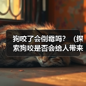 狗咬了会倒霉吗？（探索狗咬是否会给人带来厄运的迷信观念）