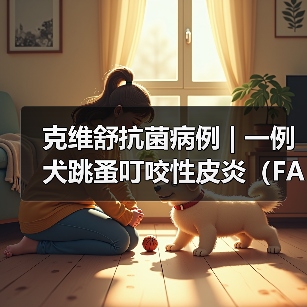 克维舒抗菌病例 | 一例犬跳蚤叮咬性皮炎(FAD)的病例分析(图3) 克维舒抗菌病例 | 一例犬跳蚤叮咬性皮炎(FAD)的病例分析(图3)