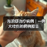 海泊舒治疗病例 | 一例犬咬伤的病例报告(图3) 海泊舒治疗病例 | 一例犬咬伤的病例报告(图3)