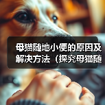 母猫随地小便的原因及解决方法(探究母猫随地小便的行为背后的原因,并提供有效解决方法)(图3) 母猫随地小便的原因及解决方法(探究母猫随地小便的行为背后的原因,并提供有效解决方法)(图3)