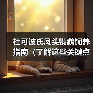 杜可波氏凤头鹦鹉饲养指南（了解这些关键点，让你成为杜凤饲养达人！）