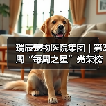 瑞辰宠物医院集团 | 第3周“每周之星”光荣榜(图3) 瑞辰宠物医院集团 | 第3周“每周之星”光荣榜(图3)