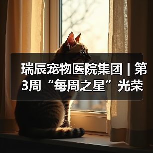 瑞辰宠物医院集团 | 第3周“每周之星”光荣榜