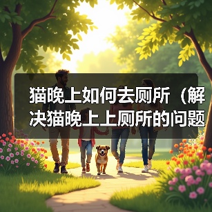 猫晚上如何去厕所（解决猫晚上上厕所的问题方法）（图2）