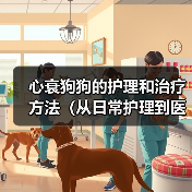 心衰狗狗的护理和治疗方法（从日常护理到医疗干预，全方位关爱你的心衰狗狗）（图3）