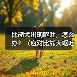 比熊犬出现呕吐，怎么办？（应对比熊犬呕吐的有效措施）