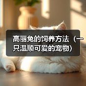 高丽兔的饲养方法（一只温顺可爱的宠物）