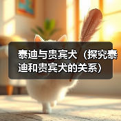 泰迪与贵宾犬（探究泰迪和贵宾犬的关系）（图4）