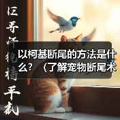 以柯基断尾的方法是什么？（了解宠物断尾术，保护你的柯基宝贝）（图3）