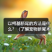 以柯基断尾的方法是什么？（了解宠物断尾术，保护你的柯基宝贝）（图4）