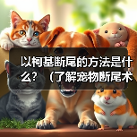 以柯基断尾的方法是什么？（了解宠物断尾术，保护你的柯基宝贝）（图2）