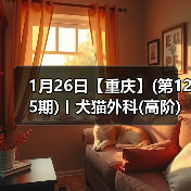 1月26日【重庆】(第125期)丨犬猫外科(高阶)班！含SUB(人人可实操)、乳糜胸等技术！（图2）
