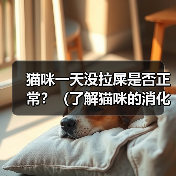 猫咪一天没拉屎是否正常？（了解猫咪的消化系统和行为习惯，判断它是否需要就医）（图2）