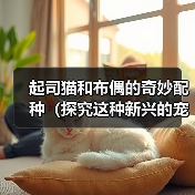 起司猫和布偶的奇妙配种（探究这种新兴的宠物品种和人们对它的热情）（图3）
