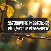 起司猫和布偶的奇妙配种（探究这种新兴的宠物品种和人们对它的热情）（图1）