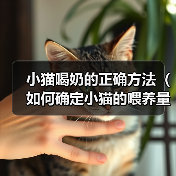 小猫喝奶的正确方法（如何确定小猫的喂养量？）（图2）