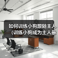 如何训练小狗跟随主人（训练小狗成为主人最忠诚的伙伴）（图1）