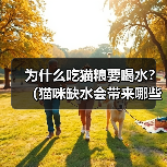 为什么吃猫粮要喝水？（猫咪缺水会带来哪些危害？）（图1）